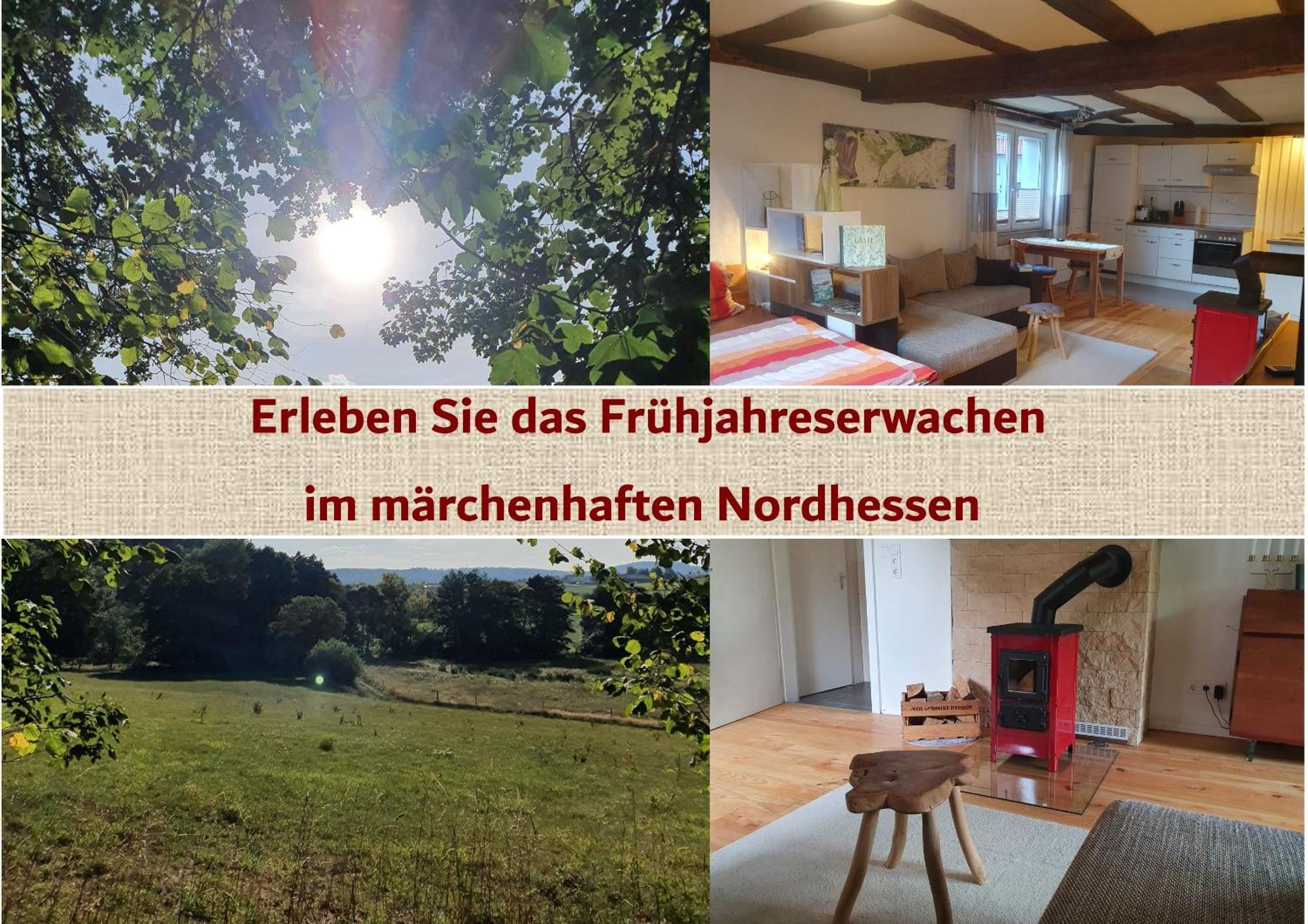 Apartment Fachwerk Zum Entspannen, Max. 3p *